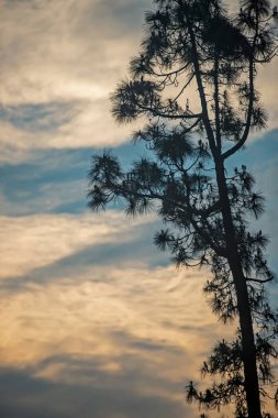 Denizin üzerinde güzel bir gün batımı