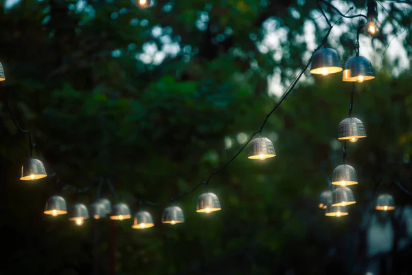 Light Bulbs Green Trees Garlands — 스톡 사진