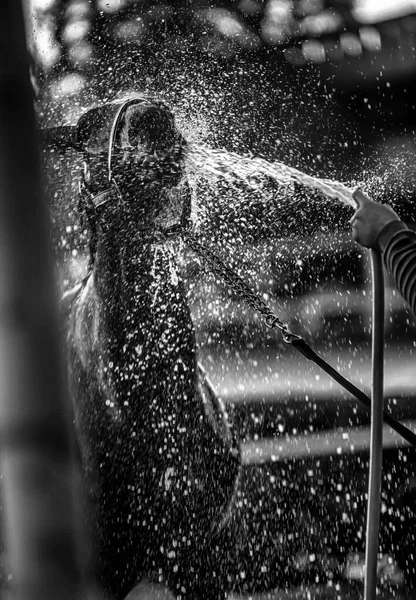 Homem Lavando Gotas Água Telhado Rio — Fotografia de Stock