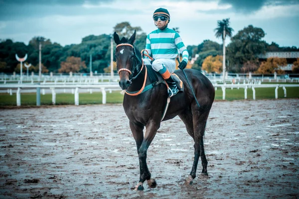 Paardenrennen Buenos Aires Argentinië — Stockfoto