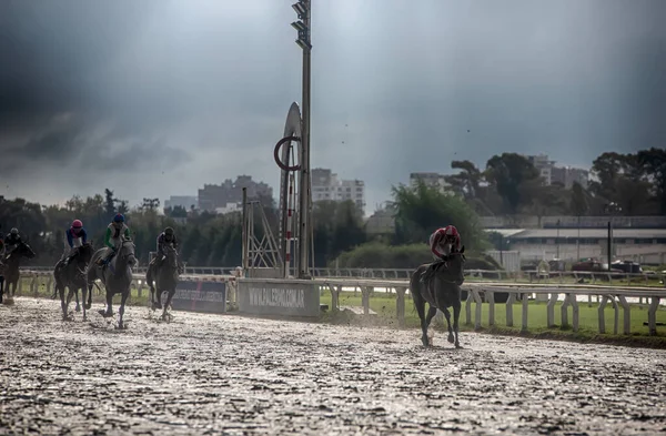 Corridas Cavalos Buenos Aires Argentina — Fotografia de Stock