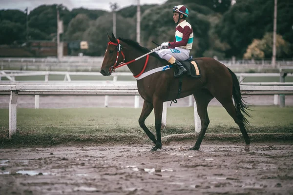 Corridas Cavalos Buenos Aires Argentina — Fotografia de Stock