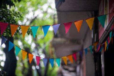 Yakından bakınca renkli bayraklar görünüyor