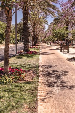 Parkın güzel manzarası