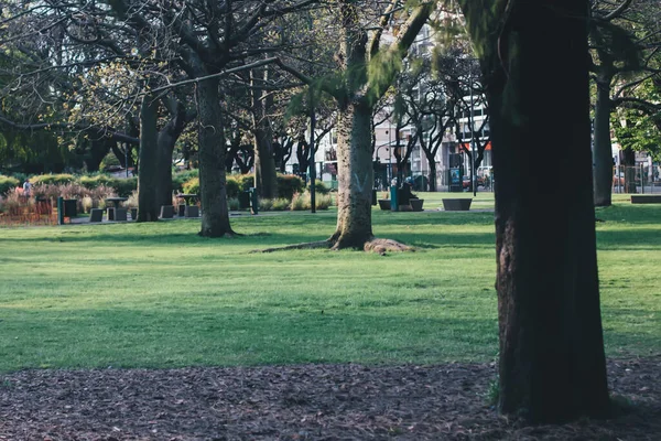 Vacker Utsikt Över Parken — Stockfoto