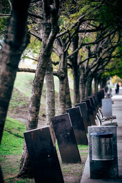 Begraafplaats Het Park — Stockfoto