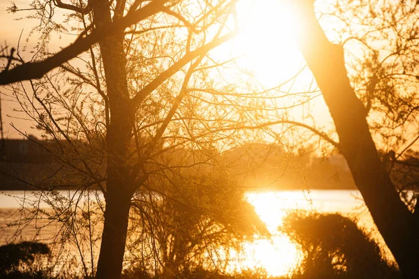Kaunis Auringonlasku Puistossa — kuvapankkivalokuva