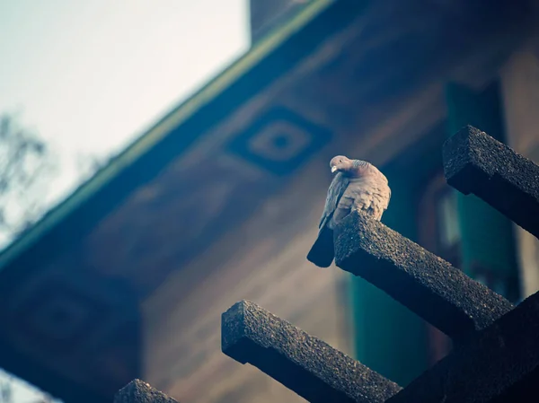 Staré Rezavé Kovové Zábradlí Pozadí — Stock fotografie