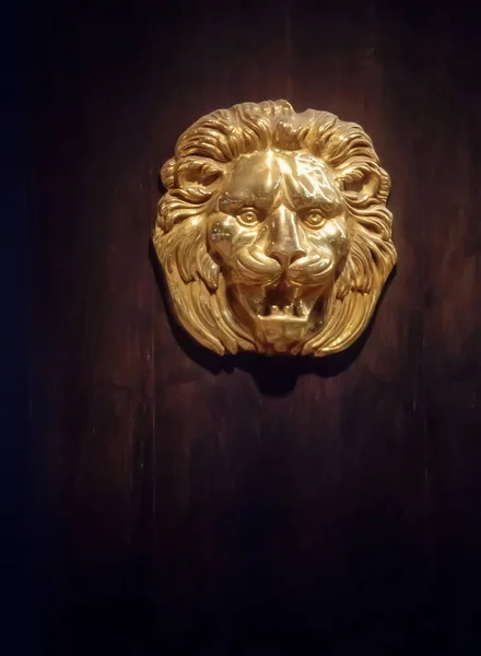 Львиная Голова Деревянной Двери — стоковое фото