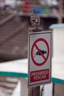 Balıkçılık işareti yok.