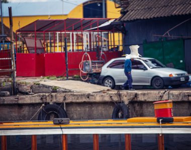 kuş odaklanmış arkaplanda uçuyor