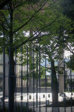 Modern binanın önündeki yeşil ağaçlar