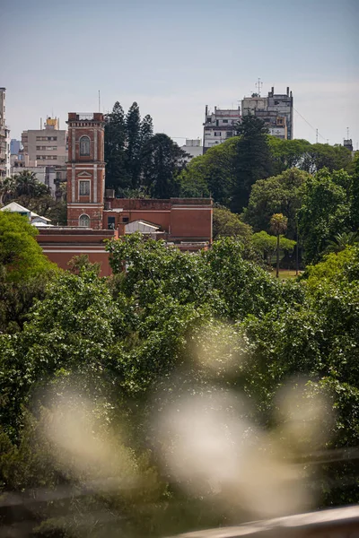 View City Green Trees — Fotografia de Stock