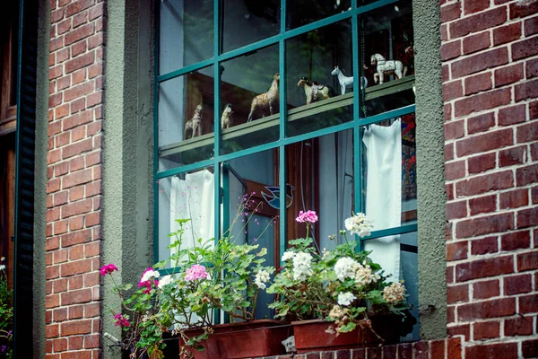 Ventana Con Flores Rojas Blancas —  Fotos de Stock