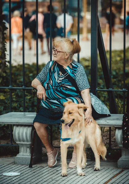 Mulher Sênior Com Seu Cão Sentado Banco — Fotografia de Stock