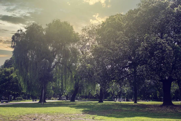 Vacker Utsikt Över Parken — Stockfoto