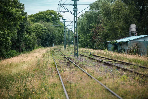 Railroad Tracks Summer — Stock Photo, Image