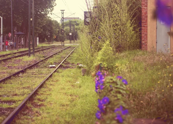 Railway Tracks City Summer — Stock Photo, Image