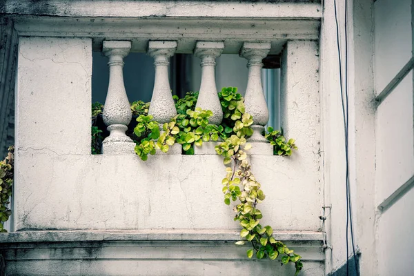 Detalle Fachada Del Antiguo Edificio Histórico —  Fotos de Stock