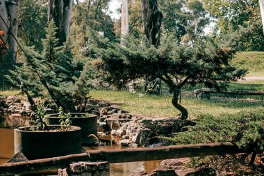 Parkın güzel manzarası