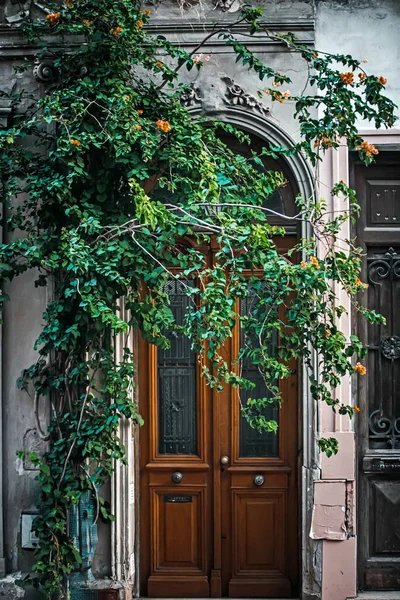 Pencereli Eski Ahşap Kapı — Stok fotoğraf