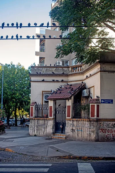 도시의 거리와 — 스톡 사진