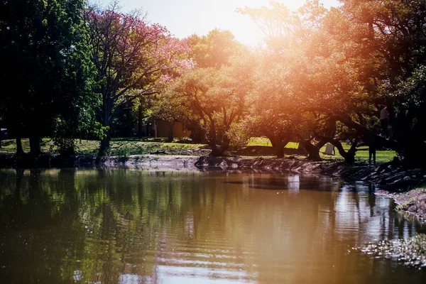 Beautiful View Park Lake — Fotografia de Stock