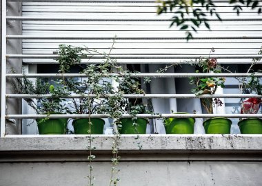 Tencere penceresinde çiçek 