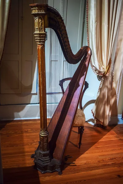 Close View Harp Musical Instrument — Stockfoto