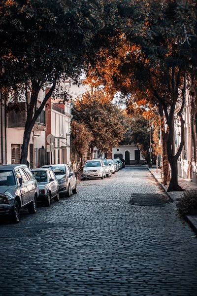 Lugn Gata Buenos Aires — Stockfoto