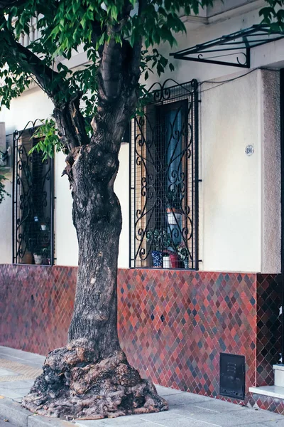 Casa Antigua Ciudad Buenos Aires Argentina —  Fotos de Stock