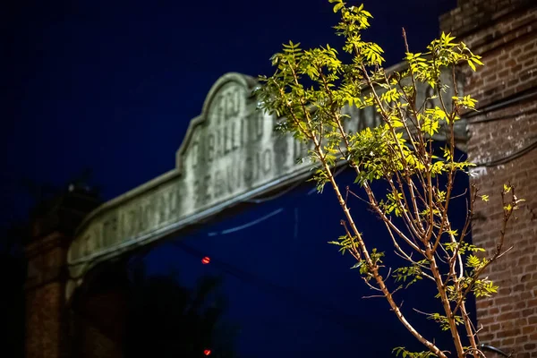 Vista Nocturna Las Ramas Los Árboles —  Fotos de Stock