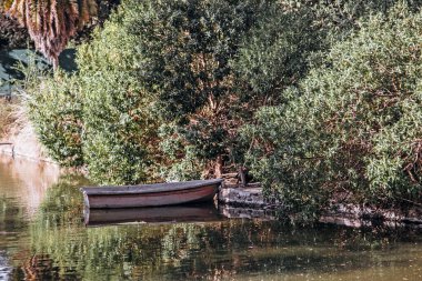 Küçük tekne yemyeşil çalıların yanında.