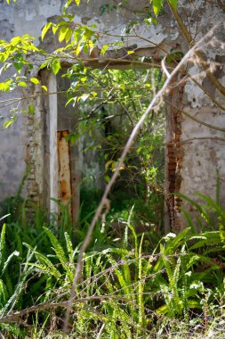 Terk edilmiş binada aşırı gelişmiş bir kapı var.