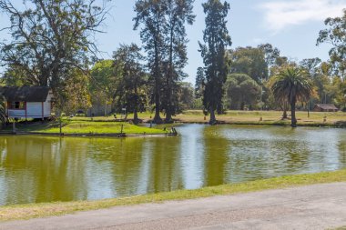 Yeşil ağaçlarla çevrili sakin göl