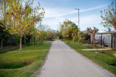 Yeşil ağaçlarla kaplı çakıl yolu