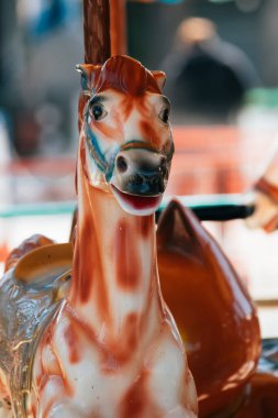 Renkli atlıkarıncaya yakın çekim