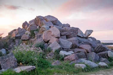 Çiçeklerin yanında büyük bir kaya yığını