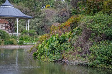 Bereketli yeşillik durgun suyun yanında