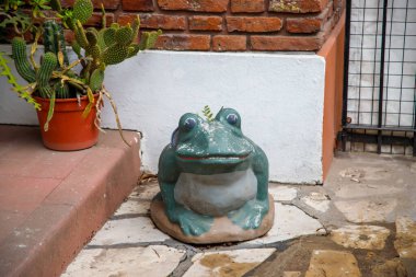 Şirin kurbağa heykeli yakın çekim görüntüsü