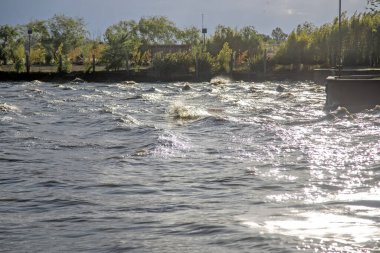 Yazın göl manzarası
