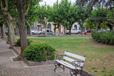 Yaz parkındaki boş bankın manzarası