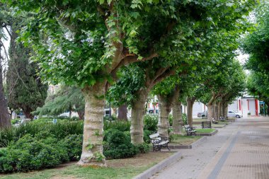 Buenos Aires kırsalının sokaklarını gezmek