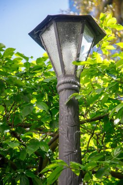 Yakından yeşil yemyeşil bir lamba arasında