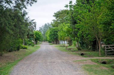 Yaz günü boş kırsal yol