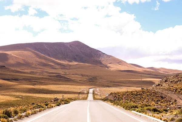Şili dağlarındaki dağlara giden bir yol