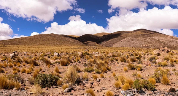 Atacama Çölü 'nün manzarası 