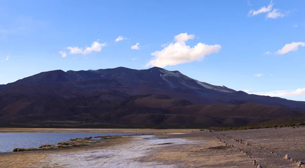 Widok Wulkan Isluga Parku Narodowym Chile — Zdjęcie stockowe