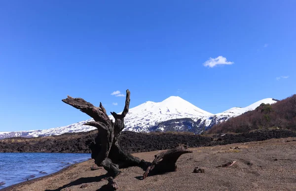 Conguillio Ulusal Parkı 'nın manzarası 