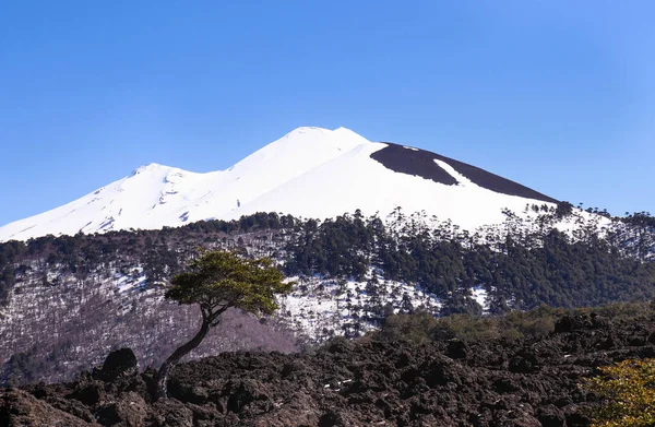 Volcan Llaima Dans Parc National Conguillio — Photo